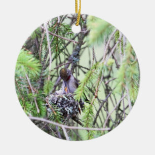 BabyHummingbirds i en bygga bo Julgransprydnad Keramik