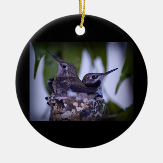 BabyHummingbirds Julgransprydnad Keramik (Framsidan)