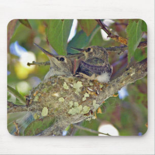 Babyhummingbirds - Mousepad Musmatta