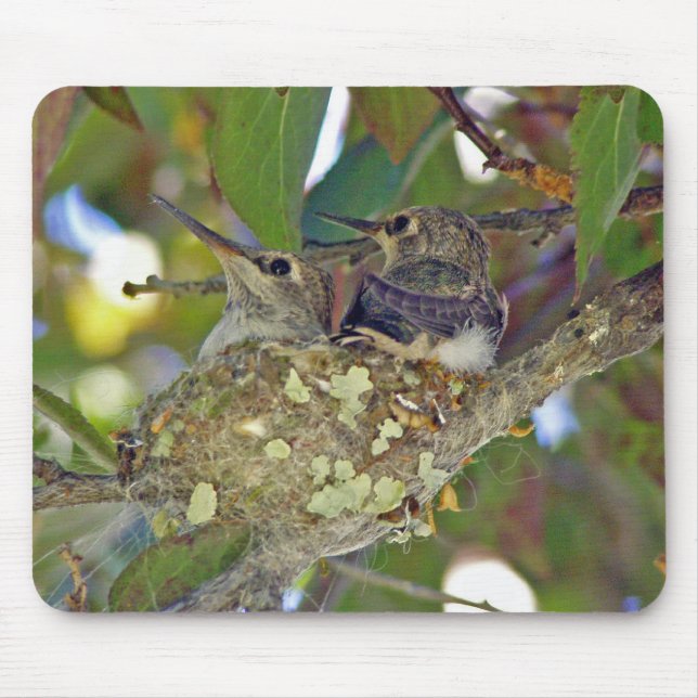 Babyhummingbirds - Mousepad Musmatta (Framsidan)
