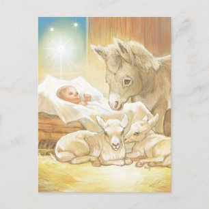 BabyJesus Nativity med Lambs och åsnan Vykort