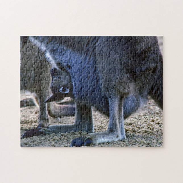 Babykänguru i mödrarpåsen - Australien Pussel (Horisontell)