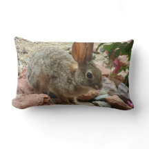 Babykanin i dekorativ kudde för Sedona