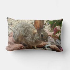 Babykanin i dekorativ kudde för Sedona