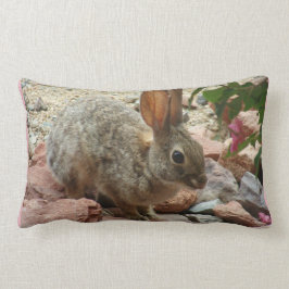 Babykanin i dekorativ kudde för Sedona