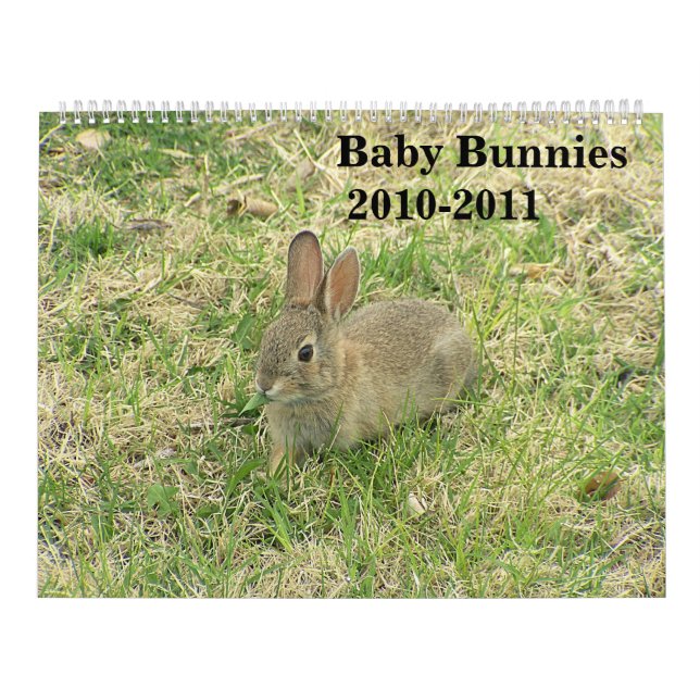 Babykaninkalender 2010-2011 kalender (Omslag)