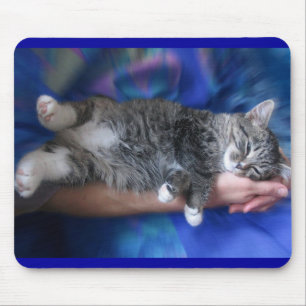 Babykatt Musmatta