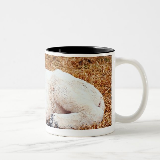 Babyko, kalv Två-Tonad mugg (Höger)