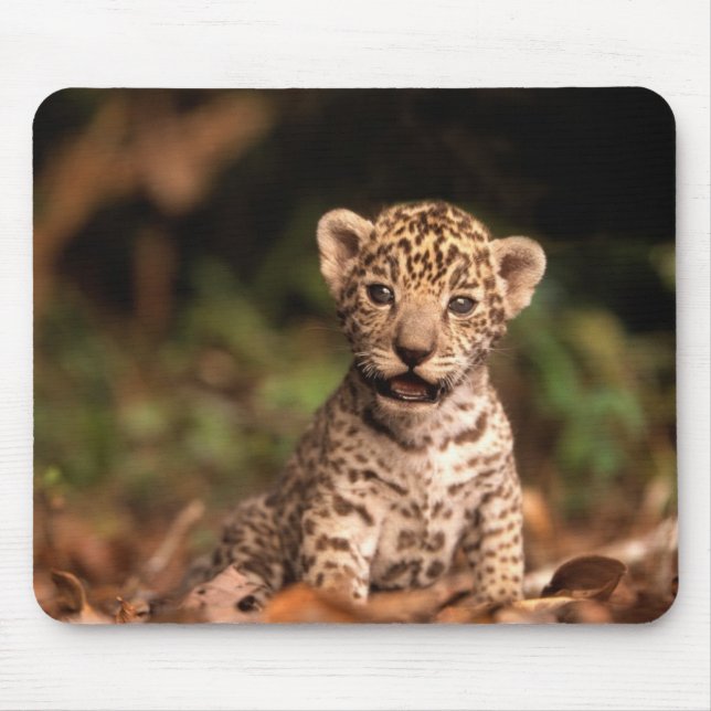 BabyLeopard Mousepad Musmatta (Framsidan)
