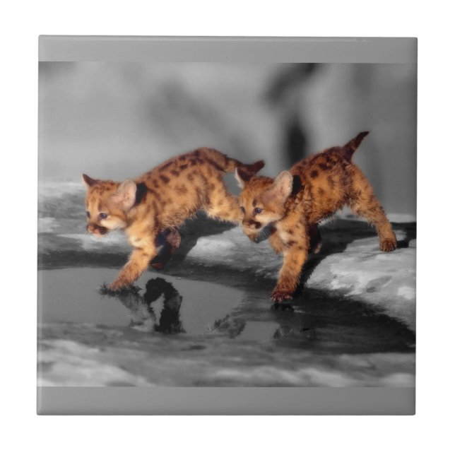 BabyLeopards Kakelplatta (Framsidan)