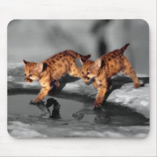 BabyLeopards Musmatta