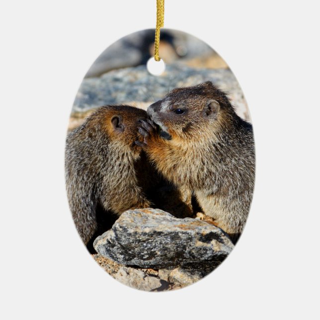 BabyMarmots Julgransprydnad Keramik (Framsidan)