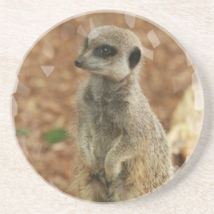 BabyMeerkat underlägg Sandsten