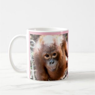 BabyOrangutanföräldralös Kobe med OFI Kaffemugg