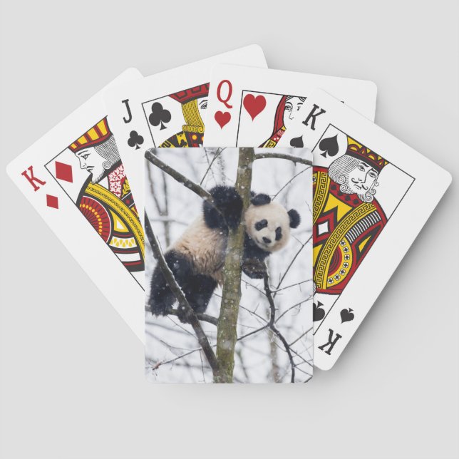 BabyPanda i träd Kortlek (Baksidan)