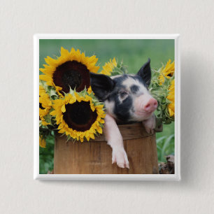 BabyPigletgris Knapp