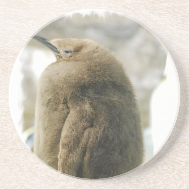 Babypingvinunderlägg Underlägg Sandsten (Framsidan)