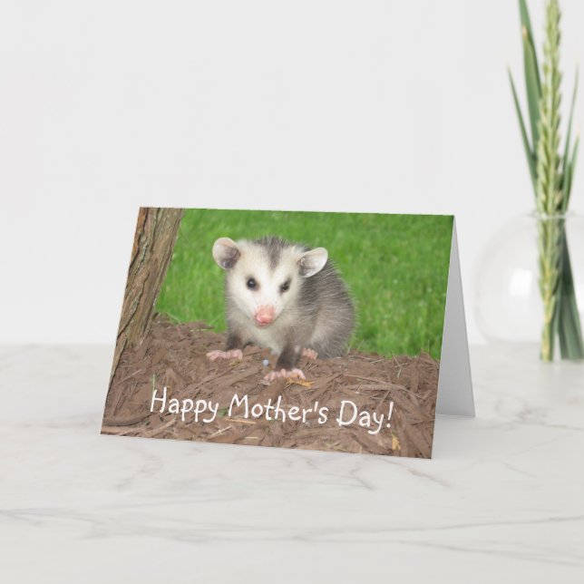 Babypungråttamors dag kort (Framsida)