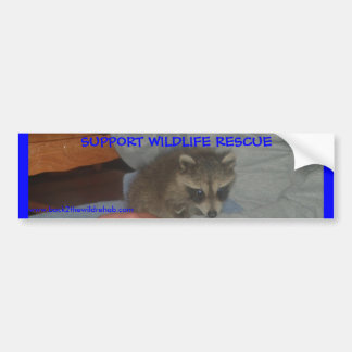 BABYRACCOONBILDEKAL BILDEKAL