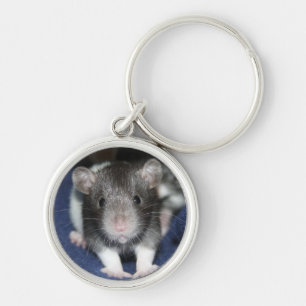 Babyråtta Keychain Rund Silverfärgad Nyckelring