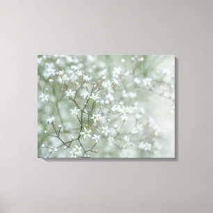 Baby's Breath Blommor Luftig Natur Fotografi Canvastryck