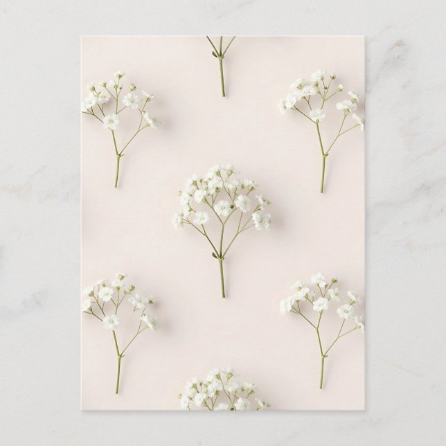 Baby's Breath Delicate Neutral Pattern Vykort (Framsida)