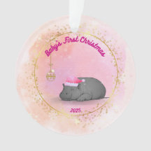 Babys första julPygméflodhästjulgransprydnad