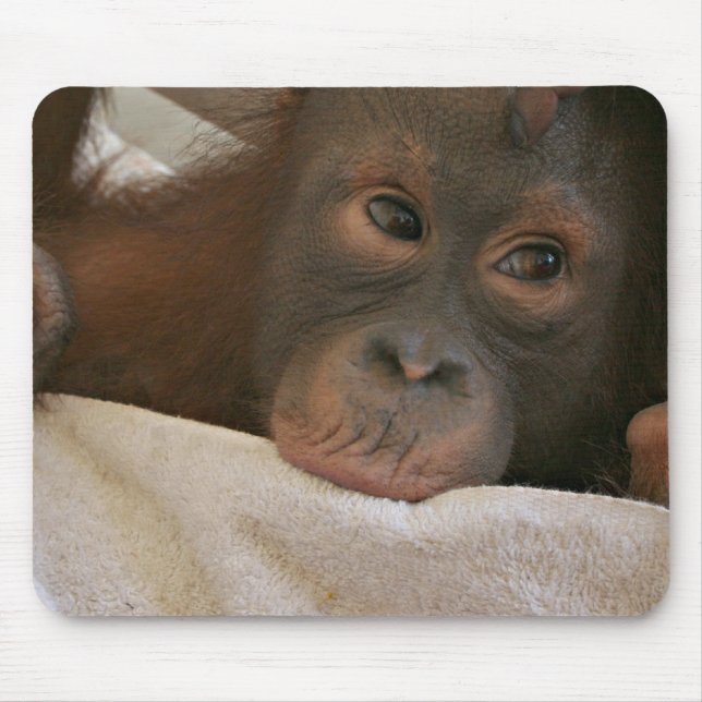 Babyschimpans Mousepad Musmatta (Framsidan)
