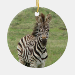 Babysebraprydnad Julgransprydnad Keramik
