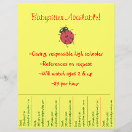 Babysittande Flyer - Ladybug