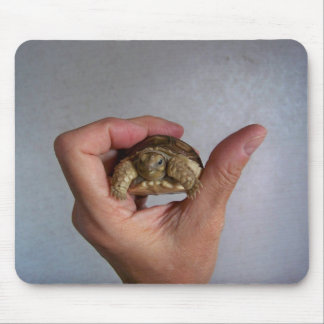 Babysköldpadda Mousepad Musmatta