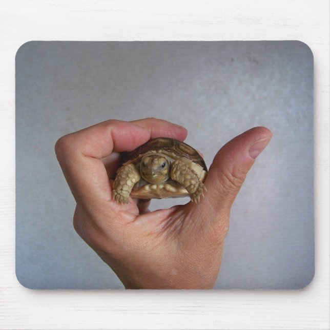 Babysköldpadda Mousepad Musmatta (Framsidan)