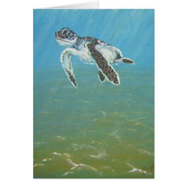 babysköldpadda OBS kort (Framsidan)