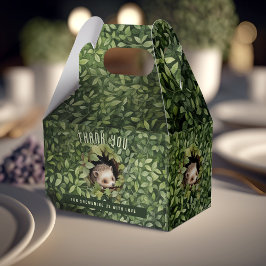 Babyskor för baby Hedgehog-favoritpresentboxen Presentaskar