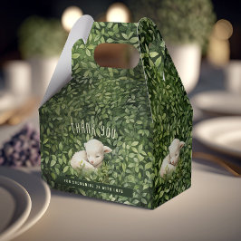 Babyskor för baby-lamporna med stor favoritbox presentaskar