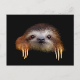 BabySloth Vykort