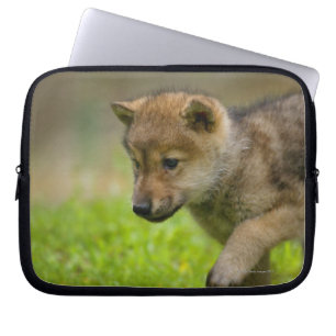 Babyvarg Laptop Sleeve