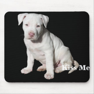 BabyvitPitbull valp Musmatta