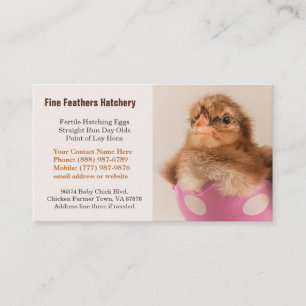 BabyWelsummer chick i ägghönaHatchery Visitkort