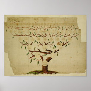 Bach Family Träd, 1750-1770 Poster
