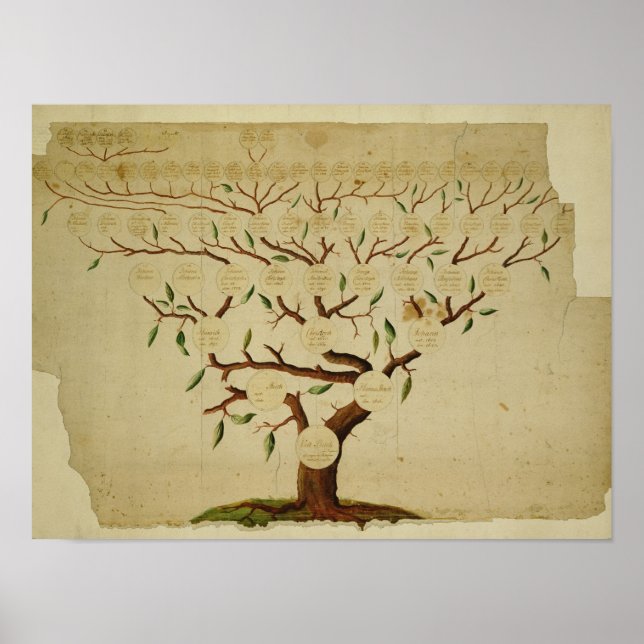 Bach Family Träd, 1750-1770 Poster (Framsidan)