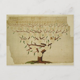 Bach Family Träd, 1750-1770 Vykort