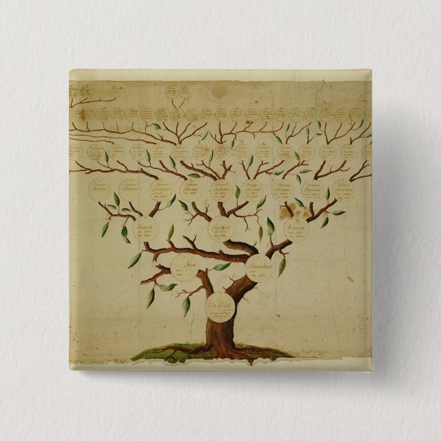 Bach stamträd, c.1750-1770 knapp (Framsida)