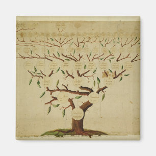 Bach stamträd, c.1750-1770 magnet