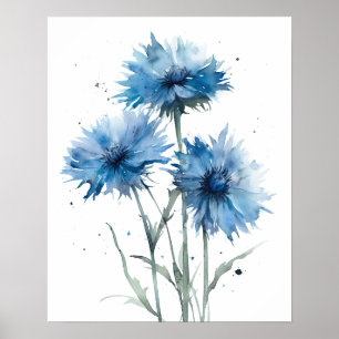 Bachelor Buttons Flower Art Print Poster