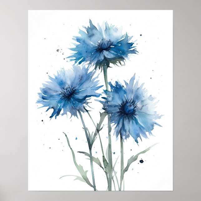 Bachelor Buttons Flower Art Print Poster (Framsidan)