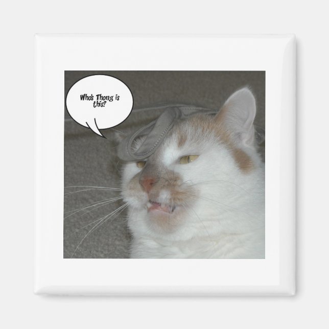 Bachelor Party Humor Magnet (Framsidan)
