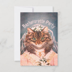 Bachelorette Party, möhippa ... inbjudan