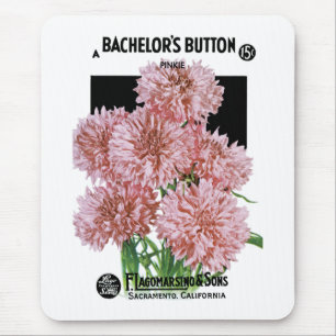 Bachelors Button Seed Packet Label Musmatta