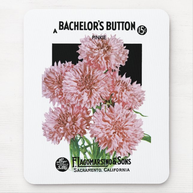 Bachelors Button Seed Packet Label Musmatta (Framsidan)
